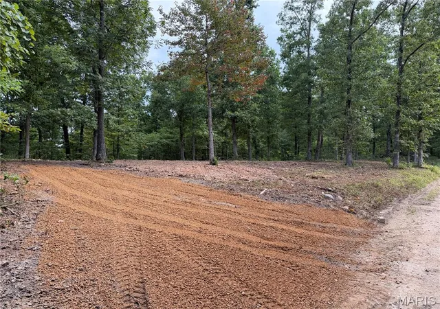 3rd image of Cr 453 Lots 393,394,395,396 & 729,730,731, Piedmont, MO 63957 | MLS# MIS26039949