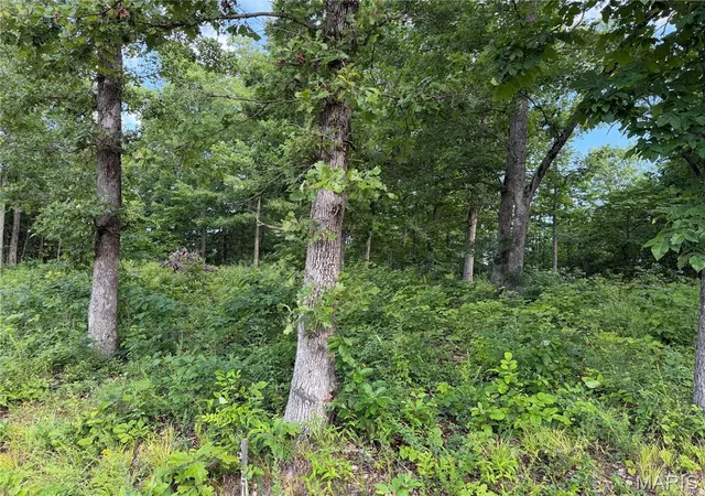 Homes for sale in Piedmont, MO | Cr 453 Lots 393,394,395,396 & 729,730,731, Piedmont, MO 63957 | MLS# MIS26039949