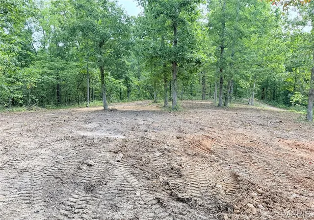 4th image of Cr 453 Lots 393,394,395,396 & 729,730,731, Piedmont, MO 63957 | MLS# MIS26039949