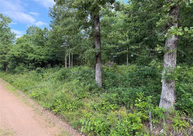 Homes for sale in Piedmont, MO | Cr 453 Lots 393,394,395,396 & 729,730,731, Piedmont, MO 63957 | MLS# MIS26039949