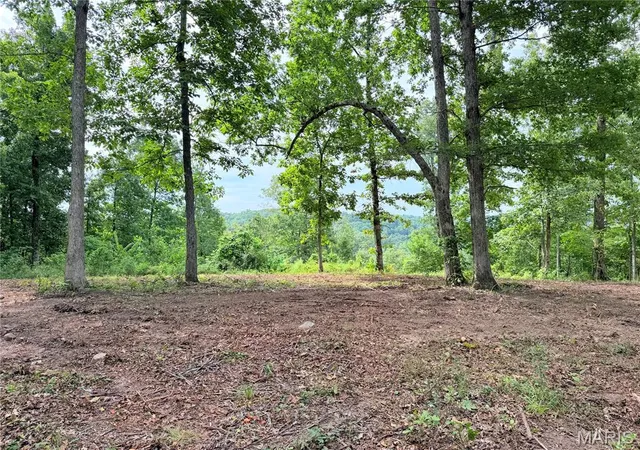 5th image of Cr 453 Lots 393,394,395,396 & 729,730,731, Piedmont, MO 63957 | MLS# MIS26039949