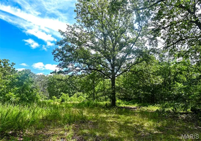 1st image of 5760 Ne 817 Private Road, Osceola, MO 64776 | MLS# MIS26040176