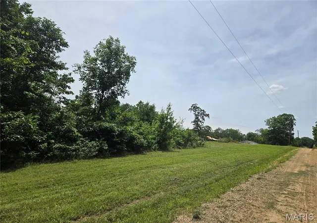 Photo 1 of Land for sale at 282 Ripley 142e 28a, Fairdealing, MO 63939 | MLS# MIS26040187 | Listing updated on 2026-09-18