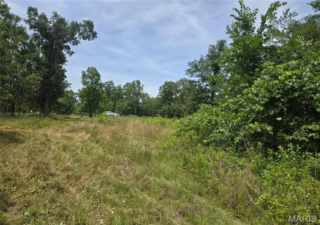 Photo 3 of Land for sale at 282 Ripley 142e 28a, Fairdealing, MO 63939 | MLS# MIS26040187 | Listing updated on 2026-09-18