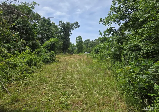 Photo 3 of Land for sale at 282 Ripley 142e 28a, Fairdealing, MO 63939 | MLS# MIS26040187 | Listing updated on 2026-09-18