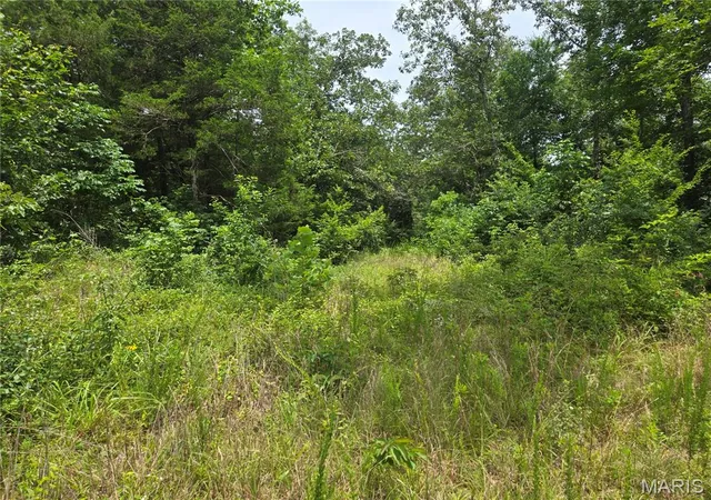 Photo 4 of Land for sale at 282 Ripley 142e 28a, Fairdealing, MO 63939 | MLS# MIS26040187 | Listing updated on 2026-09-18