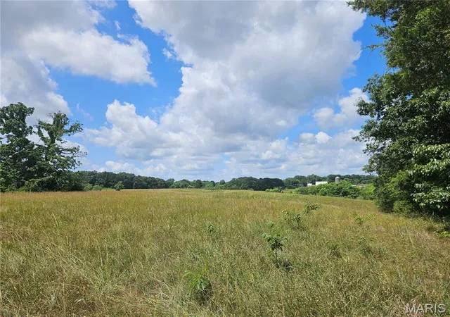 Homes for sale in Pinckneyville, IL | 00 Misty Road, Pinckneyville, IL 62274 | MLS# MIS26040212