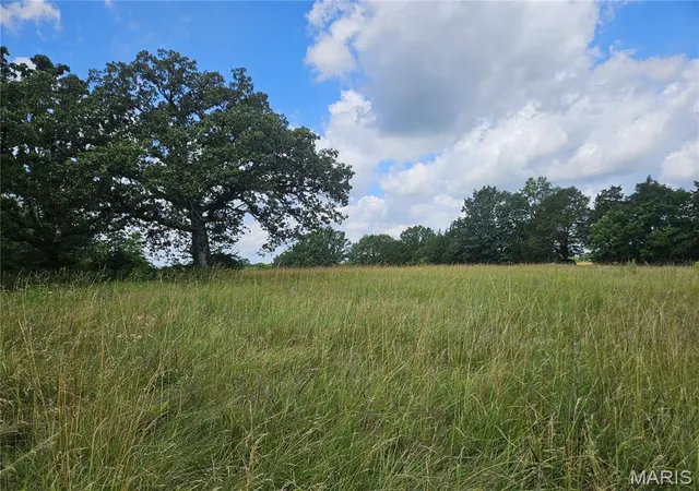 Homes for sale in Pinckneyville, IL | 00 Misty Road, Pinckneyville, IL 62274 | MLS# MIS26040212