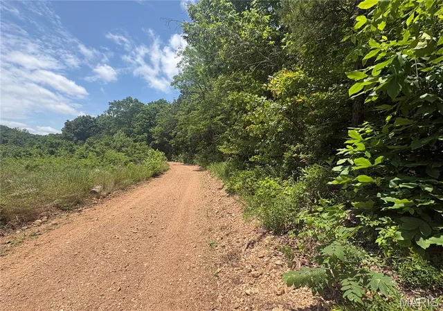 Homes for sale in Ellington, MO | 0 County Road 404, Ellington, MO 63638 | MLS# MIS26040228