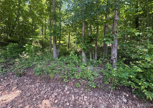 Homes for sale in Ellington, MO | 0 County Road 404, Ellington, MO 63638 | MLS# MIS26040228