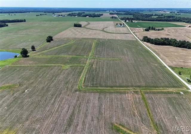 Homes for sale in Bellflower, MO | 9659 Acres Rock Rd, Bellflower, MO 63333 | MLS# MIS26040274