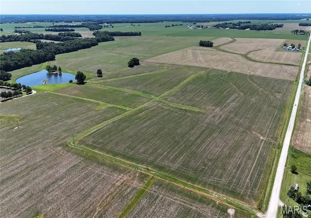 Homes for sale in Bellflower, MO | 9659 Acres Rock Rd, Bellflower, MO 63333 | MLS# MIS26040274