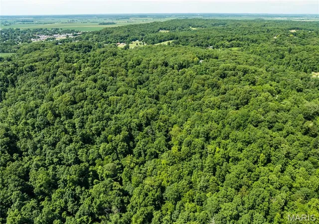Homes for sale in Chaffee, MO | 2329 County Hwy 227, Chaffee, MO 63740 | MLS# MIS26040291