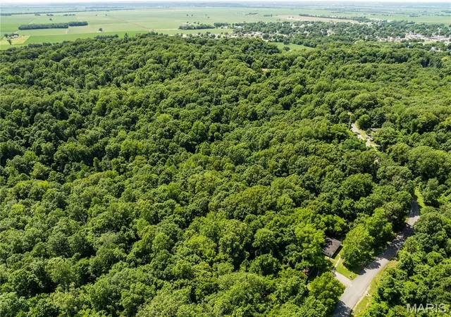 Homes for sale in Chaffee, MO | 2329 County Hwy 227, Chaffee, MO 63740 | MLS# MIS26040291