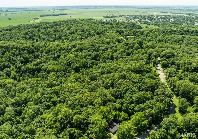Homes for sale in Chaffee, MO | 2329 County Hwy 227, Chaffee, MO 63740 | MLS# MIS26040291