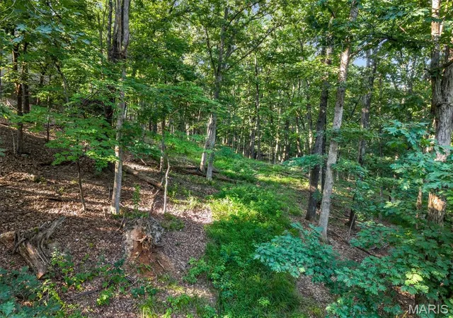 Photo 3 of Single family home for sale at 1549 Paradise Valley Dr, High Ridge, MO 63049 | MLS# MIS26040315 | Listing updated on 2026-08-31