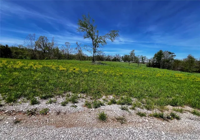 Homes for sale in Perryville, MO | 1009 Legacy Ln, Perryville, MO 63775 | MLS# MIS26040322