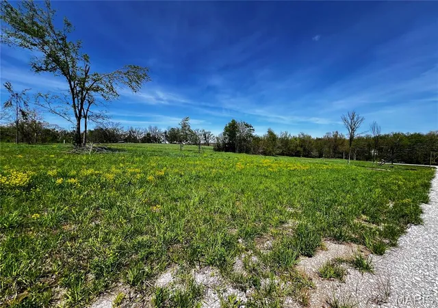 Photo 3 of Land for sale at 1009 Legacy Ln, Perryville, MO 63775 | MLS# MIS26040322 | Listing updated on 2026-06-24