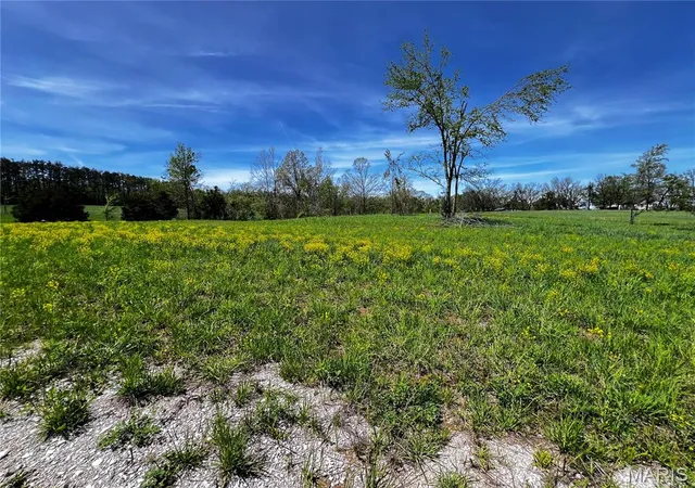 Photo 3 of Land for sale at 1009 Legacy Ln, Perryville, MO 63775 | MLS# MIS26040322 | Listing updated on 2026-06-24