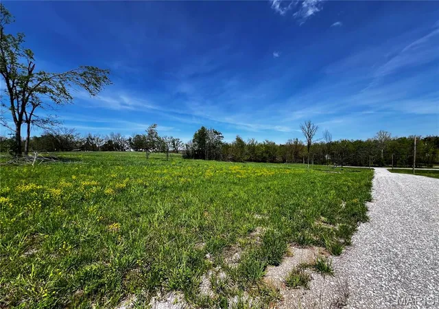 Homes for sale in Perryville, MO | 1009 Legacy Ln, Perryville, MO 63775 | MLS# MIS26040322