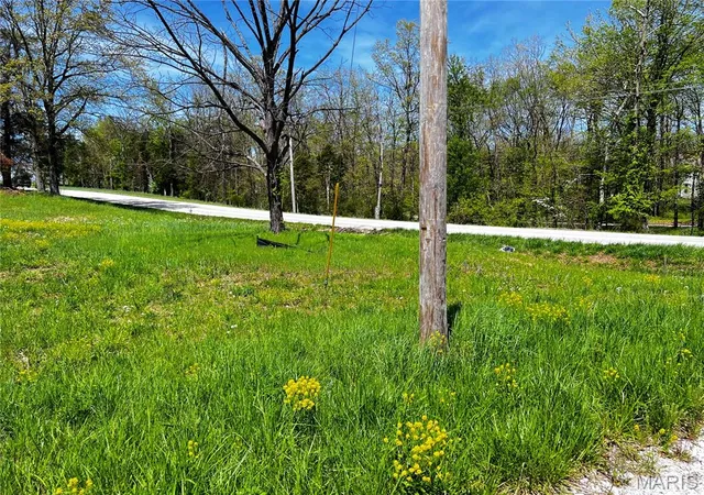 Photo 3 of Land for sale at 1001 Legacy Ln, Perryville, MO 63775 | MLS# MIS26040343 | Listing updated on 2026-06-24