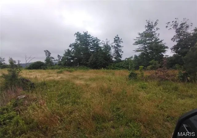 Homes for sale in Belleview, MO | Tract 4 Off Hwy O, Belleview, MO 63623 | MLS# MIS26040352