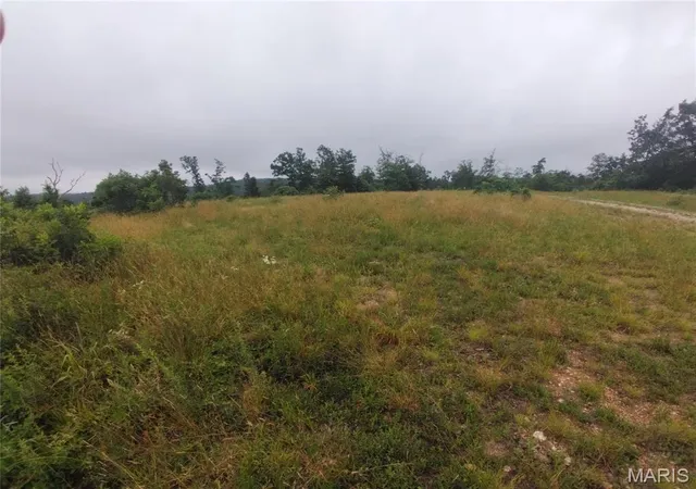 Homes for sale in Belleview, MO | 3 Tract 3 Off Hwy O, Belleview, MO 63623 | MLS# MIS26040358