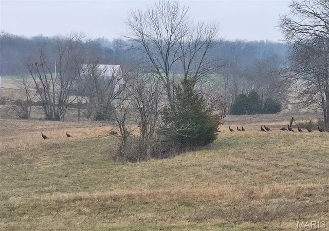 Homes for sale in Perryville, MO | 97 Pcr 522, Perryville, MO 63775 | MLS# MIS26040454