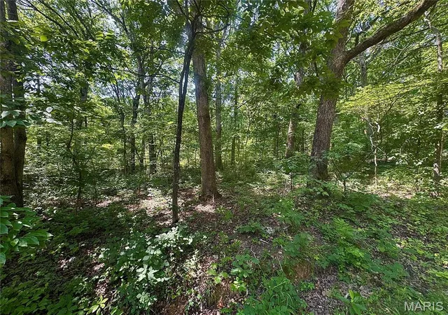 Photo 3 of Land for sale at 0 Rue Irene, Bonne Terre, MO 63628 | MLS# MIS26040467 | Listing updated on 2026-06-26