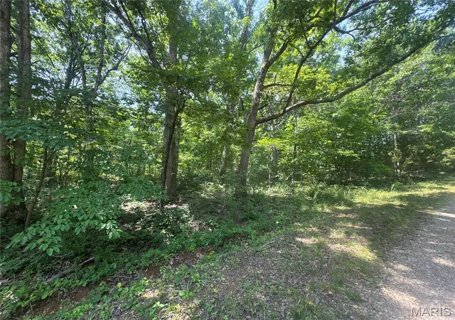 Photo 4 of Land for sale at 0 Rue Irene, Bonne Terre, MO 63628 | MLS# MIS26040467 | Listing updated on 2026-06-26