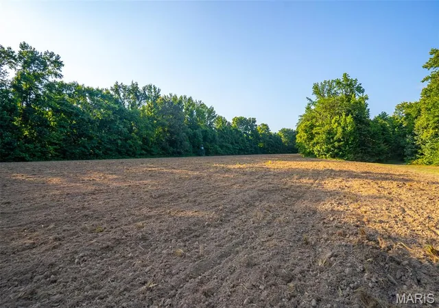 1st image of 000 County Road 530, Williamsville, MO 63967 | MLS# MIS26040478
