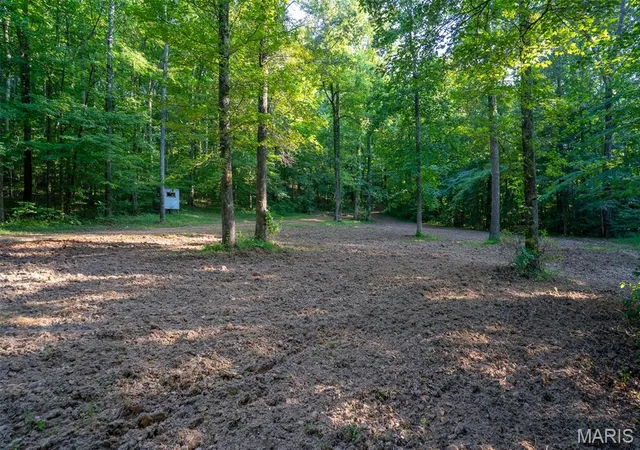 4th image of 000 County Road 530, Williamsville, MO 63967 | MLS# MIS26040478
