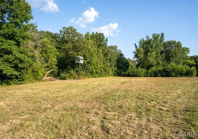 5th image of 000 County Road 530, Williamsville, MO 63967 | MLS# MIS26040478