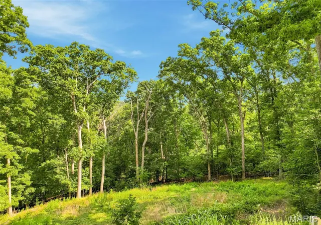 54th image of 309 Hideaway Hl, Eureka, MO 63025 | MLS# MIS26040481