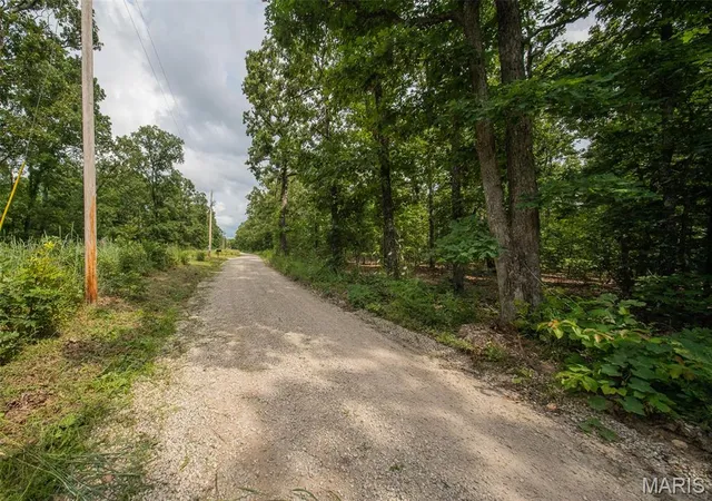Homes for sale in Salem, MO | 1017 County Road 2403, Salem, MO 65560 | MLS# MIS26040538
