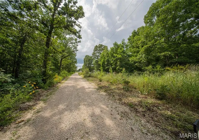 Homes for sale in Salem, MO | 1017 County Road 2403, Salem, MO 65560 | MLS# MIS26040538
