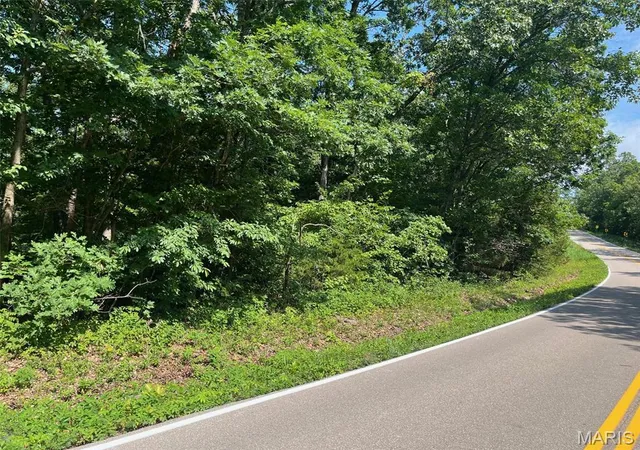 Homes for sale in Potosi, MO | 0 Hwy F Rd, Potosi, MO 63664 | MLS# MIS26040543