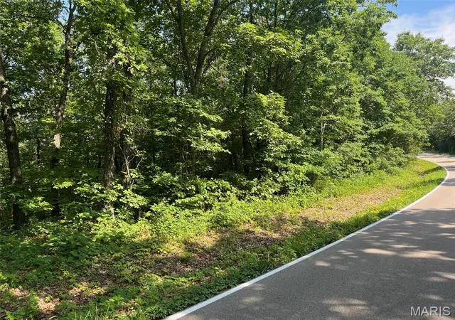 Homes for sale in Potosi, MO | 0 Hwy F Rd, Potosi, MO 63664 | MLS# MIS26040543