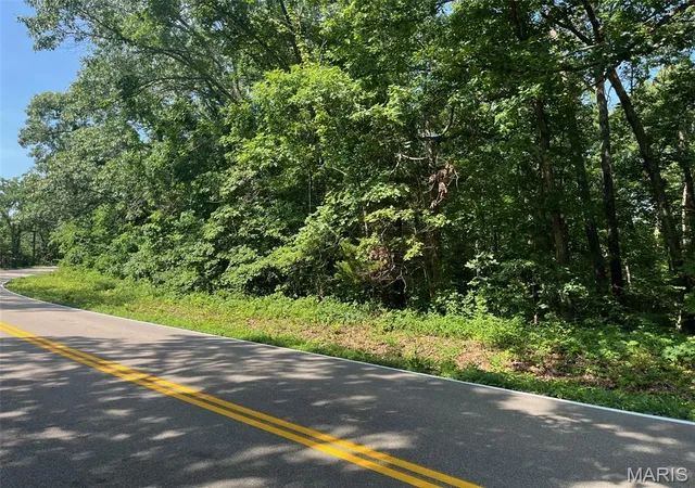 Homes for sale in Potosi, MO | 0 Hwy F Rd, Potosi, MO 63664 | MLS# MIS26040543