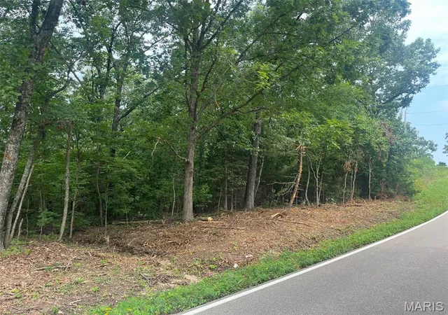 Photo 3 of Land for sale at 0 Hwy F Rd, Potosi, MO 63664 | MLS# MIS26040543 | Listing updated on 2026-08-31