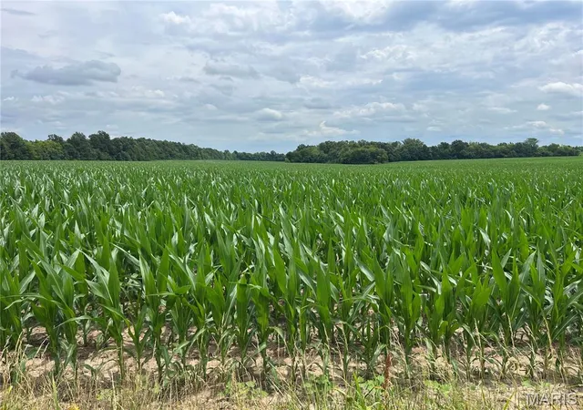 2nd image of 82666 Acres M/l On E Hwy U, Troy, MO 63379 | MLS# MIS26040549