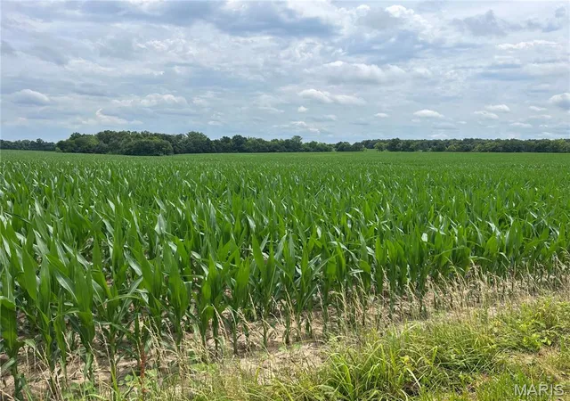 Photo 3 of Sale Pending at 82666 Acres M/l On E Hwy U, Troy, MO 63379 | MLS# MIS26040549 | Listing updated on 2026-06-29