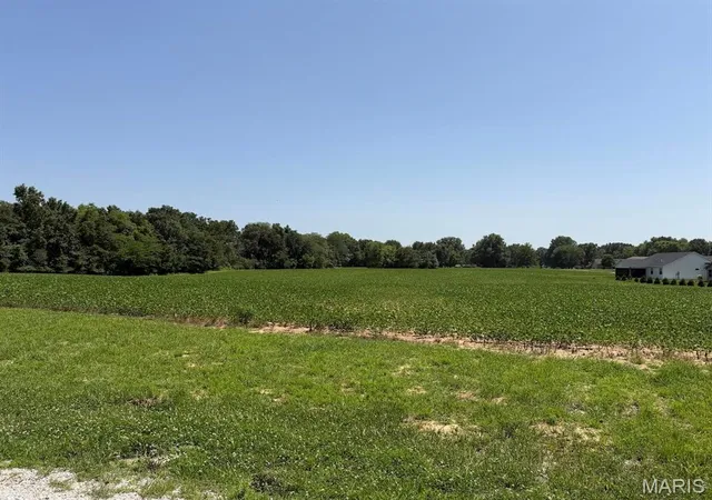 Homes for sale in Trenton, IL | 805 Wedgewood Ln, Trenton, IL 62293 | MLS# MIS26040590