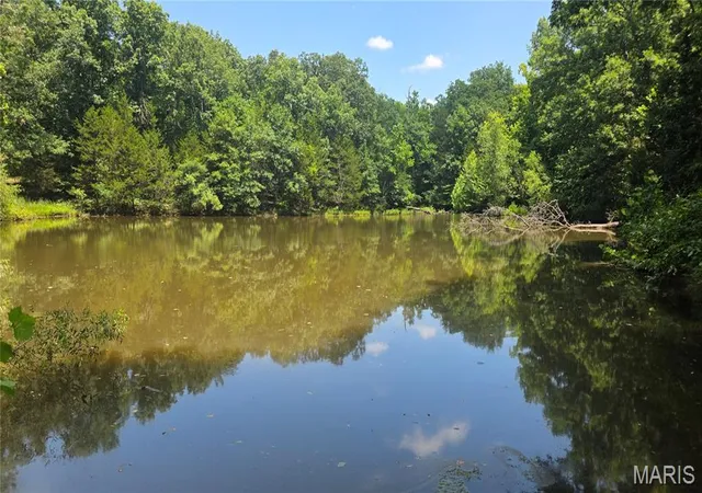Homes for sale in Dittmer, MO | 0 Hardship Lot 1, Dittmer, MO 63023 | MLS# MIS26040774