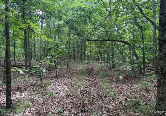 Homes for sale in Arcadia, MO | 3751 Cr 1313 County Road 1313 (Crane Lake Road), Arcadia, MO 63621 | MLS# MIS26040842