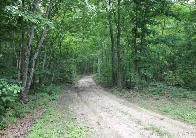 Homes for sale in Arcadia, MO | 3751 Cr 1313 County Road 1313 (Crane Lake Road), Arcadia, MO 63621 | MLS# MIS26040842