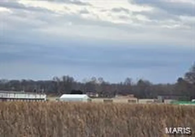 3rd image of 0 Two Mile Rd, Dexter, MO 63841 | MLS# MIS26040891