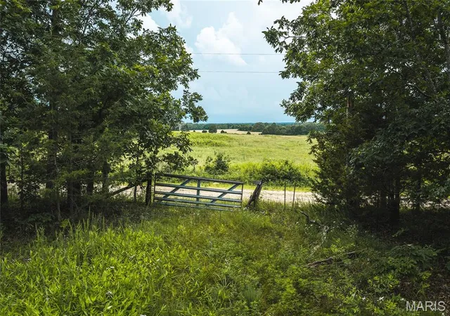 4th image of 0 Cr 5500, Salem, MO 65560 | MLS# MIS26040892