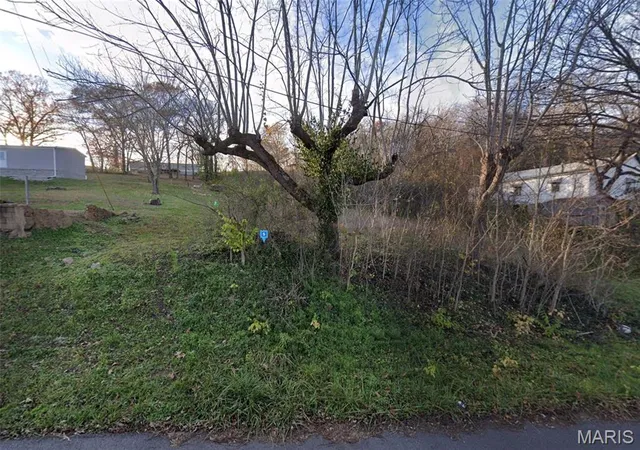 2nd image of 601 Center St, Williamsville, MO 63967 | MLS# MIS26040964