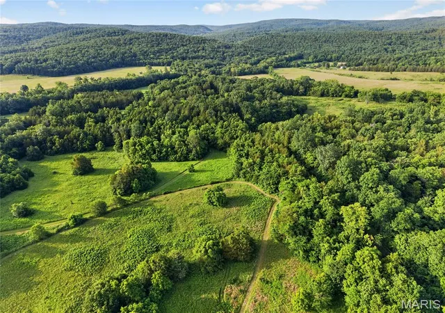 Homes for sale in Black, MO | 21530 Hwy 49, Black, MO 63625 | MLS# MIS26041021